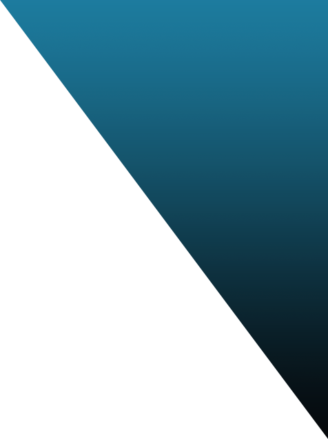 Zanzibar Presidential Delivery Bureau (ZPDB)